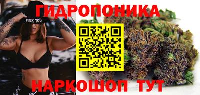 СК Гагарин