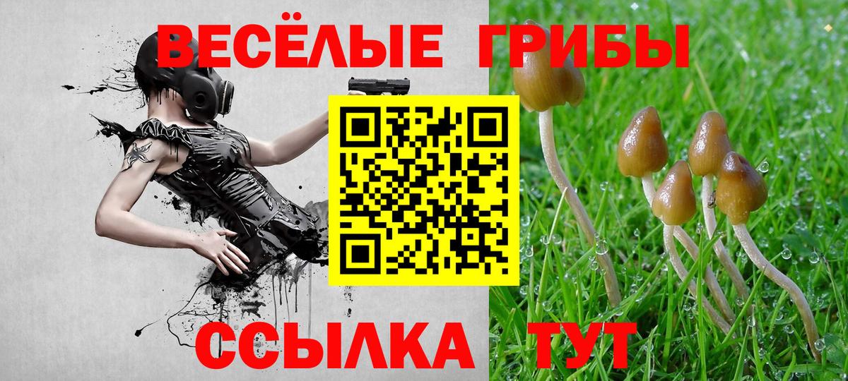 Новороссийск  Галлюциногенные грибы Psilocybine cubensis  Галлюциногенные грибы Magic Shrooms  Вход с VPN 